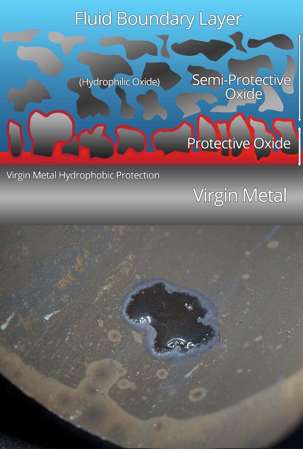 anodamine hydrophobic metal stage 2